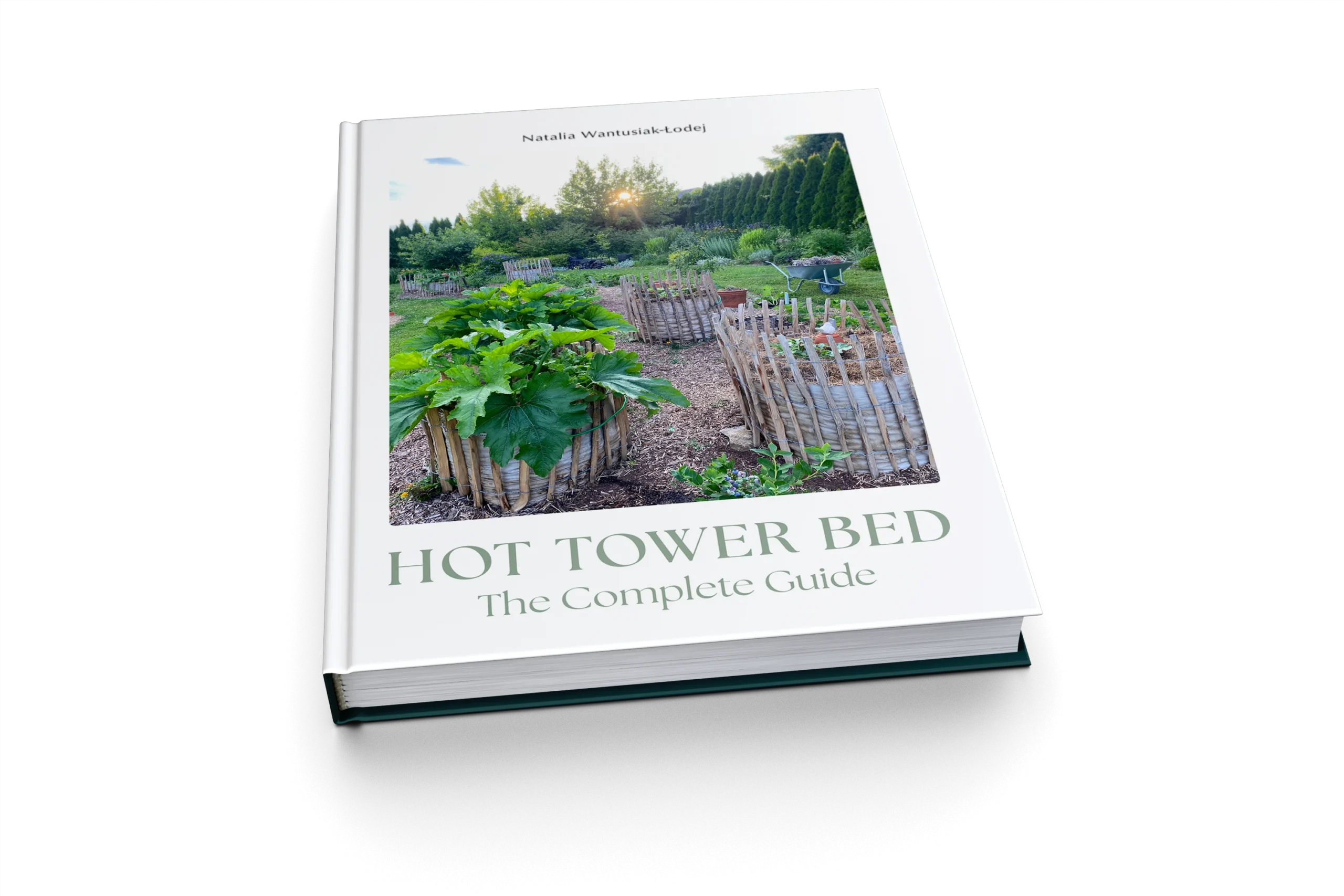 Projekt okładki - HOT TOWER BED The Complete Guide
