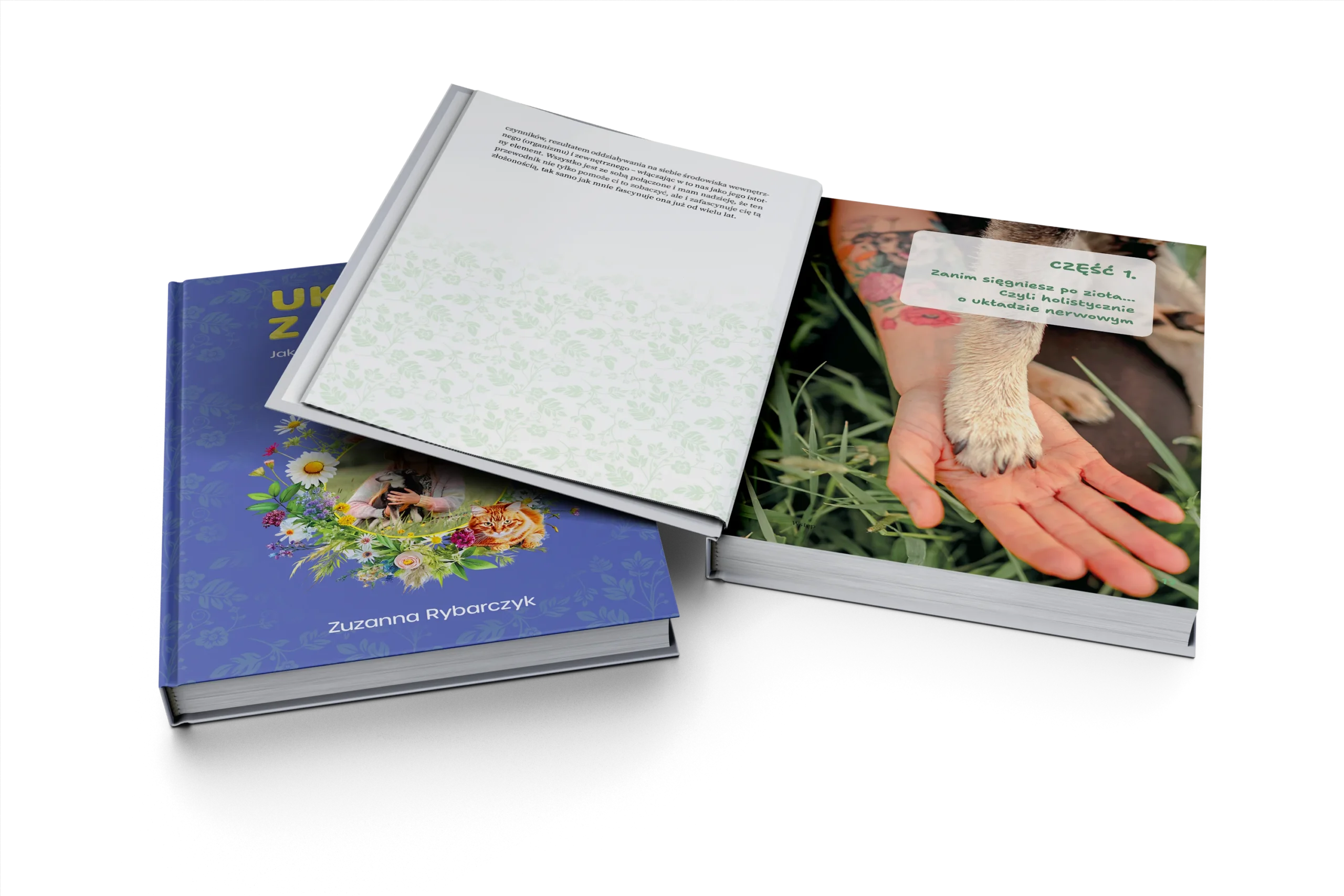 Główny mockup projektu Ukojenie z natury