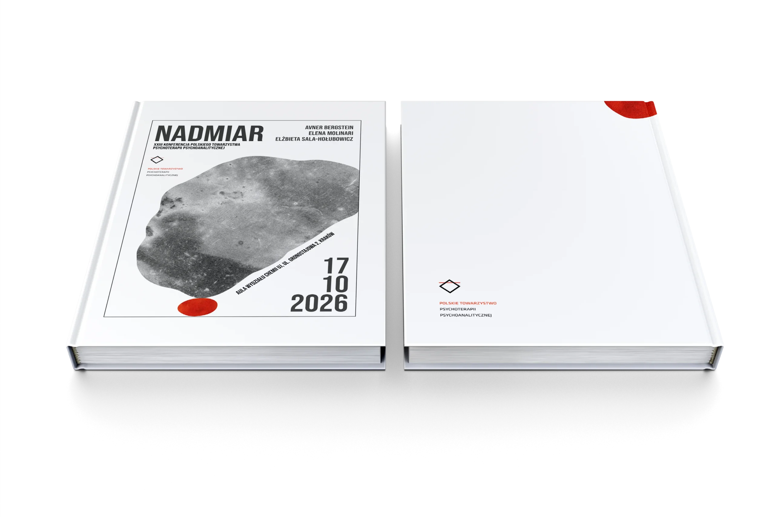 Projekt okładki - Nadmiar. XXIII Konferencja PTPP
